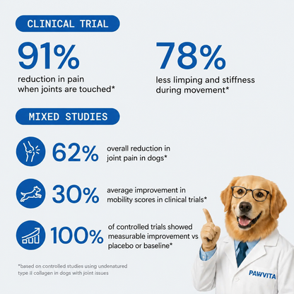 Pawvita® Joint Care Collagen