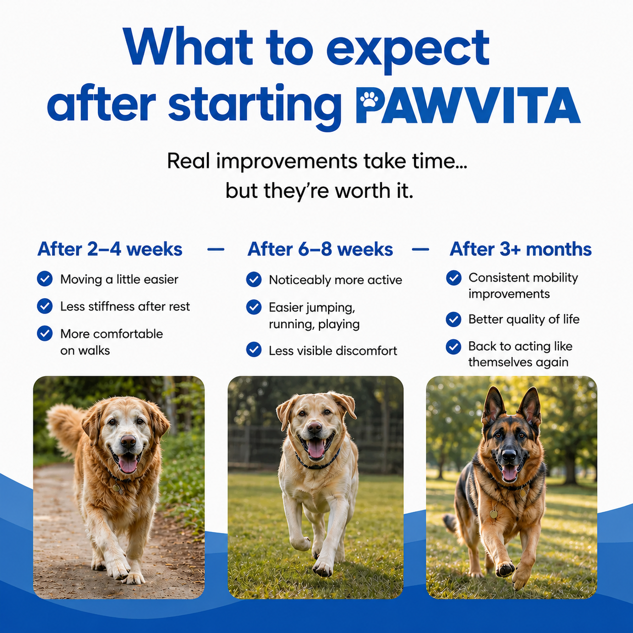 Pawvita® Joint Care Collagen